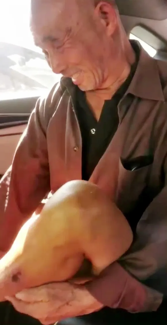 OLDMAN-V-379