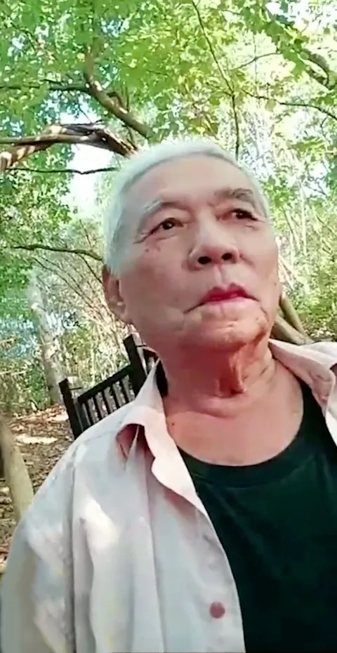 OLDMAN-V-381