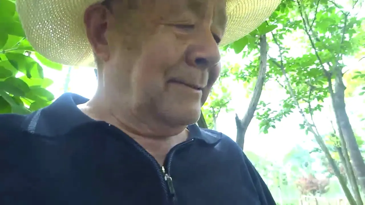 DADDY-V-196