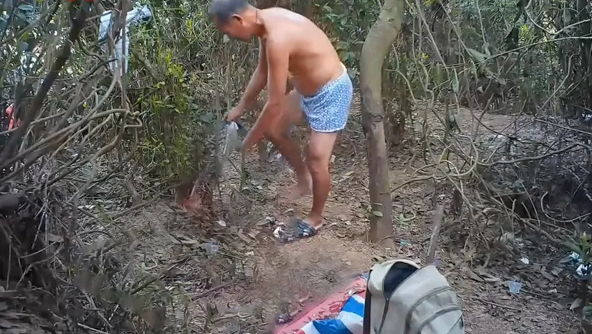 DADDY-V-350