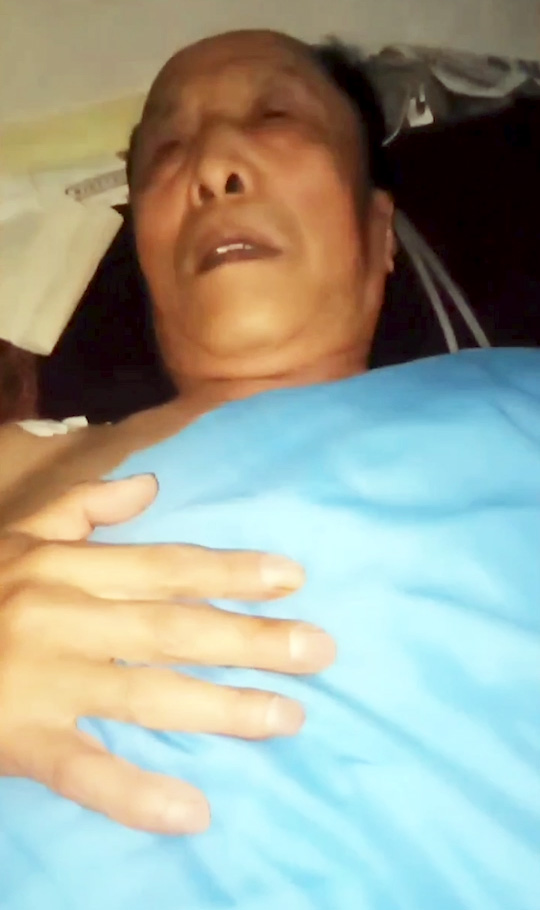 DADDY-V-811